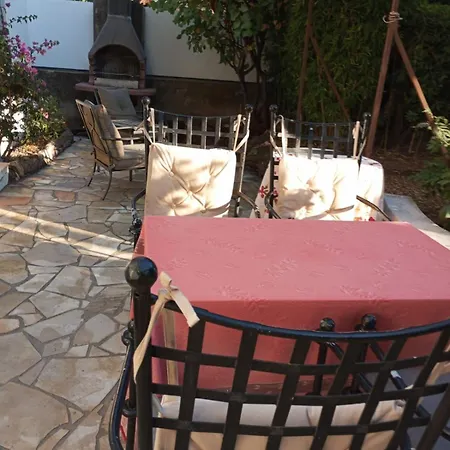 Primerose Saint-Raphael (Var)